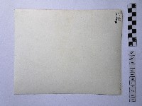 黃則修攝高山初雪藏品圖，第2張