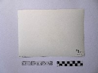 黃則修攝高山初雪藏品圖，第2張