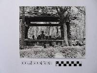 黃則修攝高山木雕的創作者藏品圖，第1張