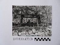 黃則修攝高山木雕的創作者藏品圖，第1張