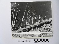 黃則修攝高山系列照片藏品圖，第1張