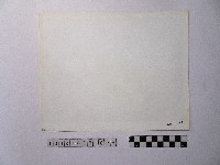 黃則修攝港口藏品圖，第2張