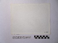 黃則修攝港口藏品圖，第2張