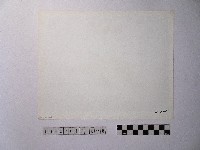 黃則修攝港口藏品圖，第2張