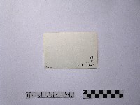 黃則修攝由屋頂俯瞰地面的照片藏品圖，第2張