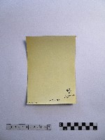 黃則修攝廟前的人群藏品圖，第2張