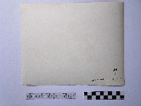 黃則修攝長者藏品圖，第2張