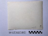 黃則修攝長者藏品圖，第2張