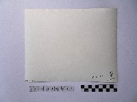 黃則修攝人群藏品圖，第2張