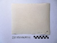 黃則修攝人群藏品圖，第2張