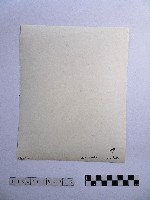 黃則修攝孩童藏品圖，第2張