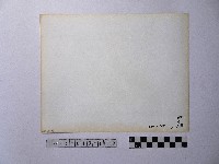 黃則修攝孩童藏品圖，第2張