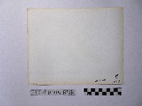 黃則修攝孩童藏品圖，第2張