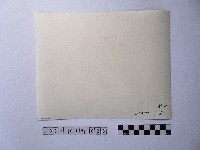 黃則修攝和尚藏品圖，第2張