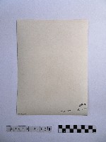 黃則修攝普賢菩薩藏品圖，第2張