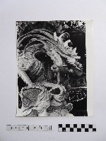 黃則修攝本寺念佛會敬獻的柱子藏品圖，第1張