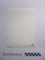 黃則修攝寺廟的屋簷藏品圖，第2張