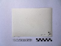 黃則修攝由屋頂俯瞰地面的照片藏品圖，第2張