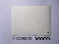 黃則修攝由屋頂俯瞰地面的照片藏品圖，第2張