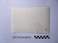 黃則修攝由屋頂俯瞰地面的照片藏品圖，第2張