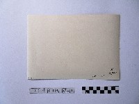 黃則修攝人群藏品圖，第2張