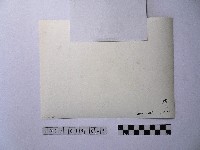 黃則修攝長者藏品圖，第2張