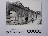 黃則修攝堤外的清晨藏品圖，第1張