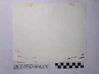 黃則修攝堤外的清晨藏品圖，第2張