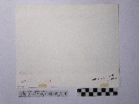 黃則修攝收工的船夫藏品圖，第2張