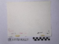 黃則修攝起錨藏品圖，第2張