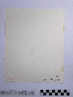 黃則修攝歸舟藏品圖，第2張