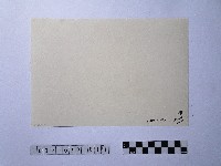 黃則修攝晒網藏品圖，第2張