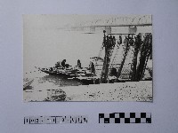 黃則修攝晒網藏品圖，第1張