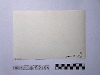 黃則修攝晒網藏品圖，第2張