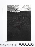 黃則修攝淘烏金的人藏品圖，第1張