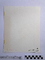 黃則修攝淘烏金的人藏品圖，第2張