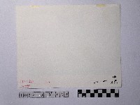 黃則修攝水上驛站藏品圖，第2張