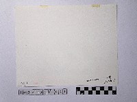 黃則修攝新店溪畔的浣衣藏品圖，第2張