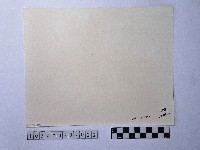 黃則修攝碧潭橋下游河藏品圖，第2張