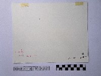 黃則修攝碧潭橋下游河藏品圖，第2張