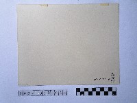 黃則修攝金砂滿河藏品圖，第2張