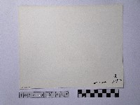 黃則修攝碧潭晨泳藏品圖，第2張