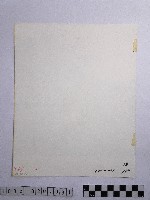 黃則修攝三峽祖師廟藏品圖，第2張