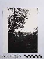 黃則修攝板橋林家藏品圖，第1張