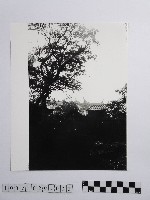 黃則修攝板橋林家藏品圖，第1張