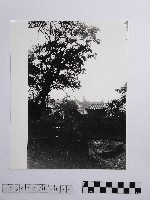 黃則修攝板橋林家藏品圖，第1張