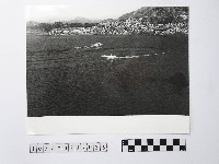 黃則修攝兩艘行駛中的船藏品圖，第1張