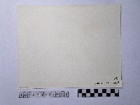 黃則修攝兩艘行駛中的船藏品圖，第2張