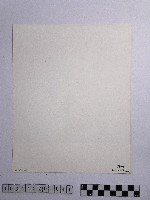 黃則修攝參天的原始巨木林藏品圖，第2張