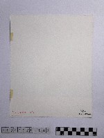 黃則修攝參天的原始巨木林藏品圖，第2張